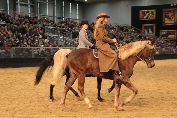 Pferd_Jagd   088.jpg